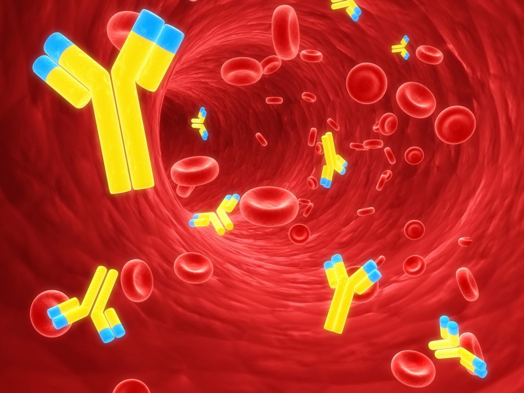 A 3D image of HIV antibodies and cells in the bloodstream.